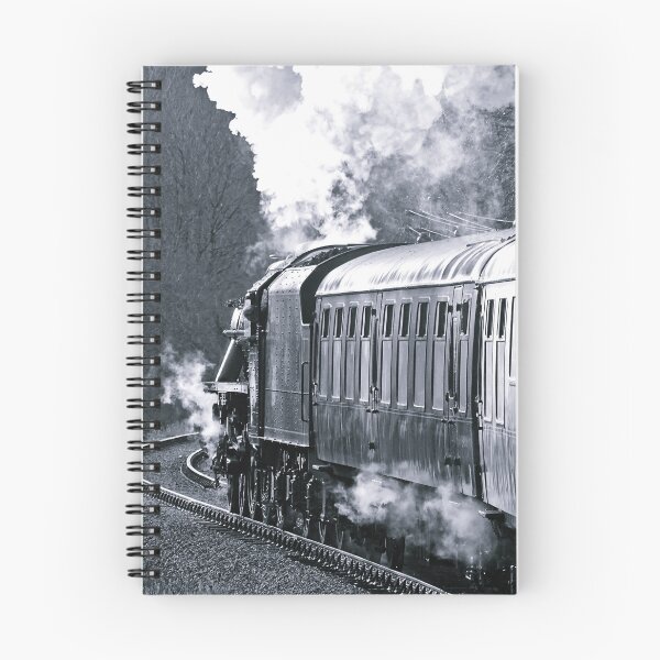 Item preview, Caution On The Curve designed and sold by Barrie Woodward.
