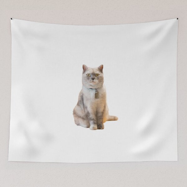 Item preview, American Shorthair happy designed and sold by Munnapd.