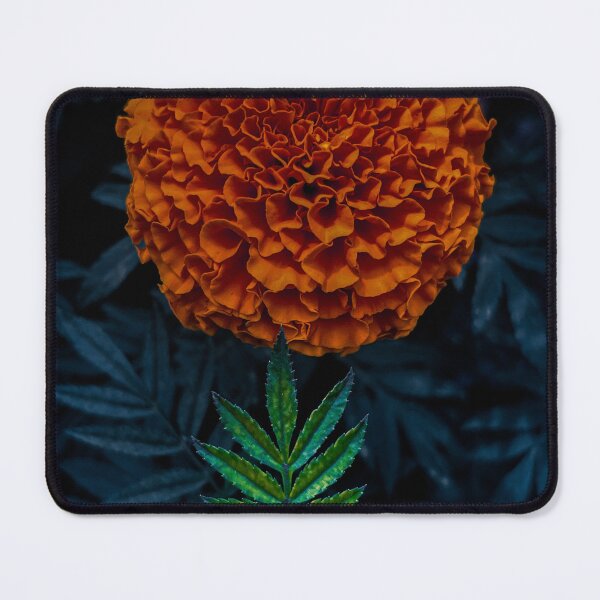 Item preview, Marigold Flower Real HD designed and sold by theplantgirl116.