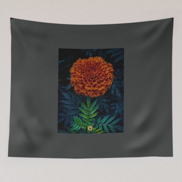 Item preview, Marigold Flower Real HD  designed and sold by theplantgirl116.