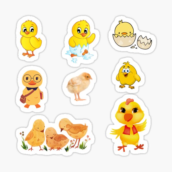 Pegatinas Pollitos Pollo Pepe Sticker For Sale By Bahiashop1 Redbubble 