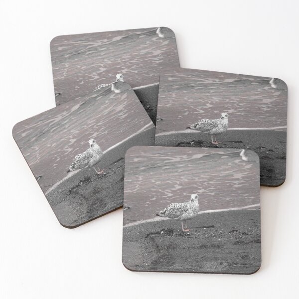 Item preview, Gull at Coast Effects Crawfordsburn Nature Lovers designed and sold by eddiebarronshop.