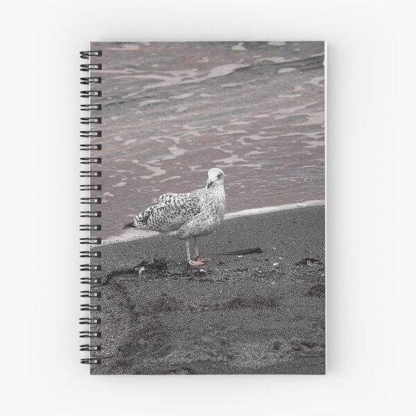 Item preview, Gull at Coast Effects Crawfordsburn Nature Lovers designed and sold by eddiebarronshop.