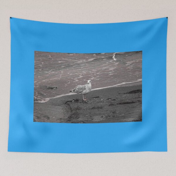 Item preview, Gull at Coast Effects Crawfordsburn Nature Lovers designed and sold by eddiebarronshop.