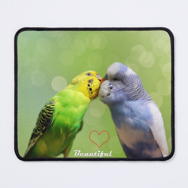 Item preview, Budgies birds designed and sold by Ovrostore.
