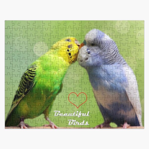 budgie jigsaw puzzle