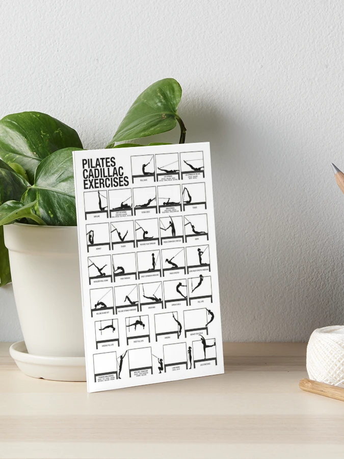 Buy PILATES CADILLAC Exercises Chart Digital Download, Pilates Studio  Decor, Gift for Pilates Enthusiasts, Pilates Workout Printable Poster  Online in India 