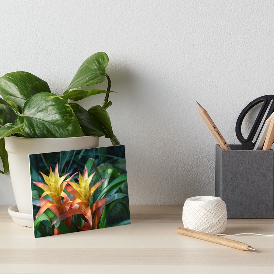 Item preview, Art Board Print designed and sold by MontanaWolves21.