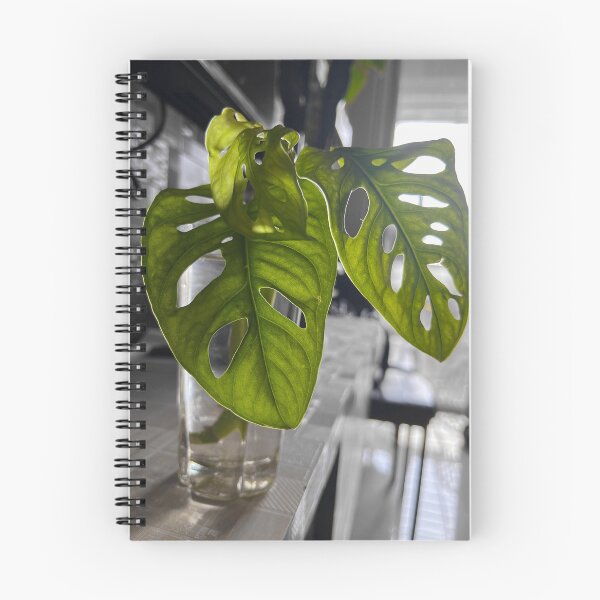 Item preview, Monstera Leaf Original designed and sold by theplantgirl116.