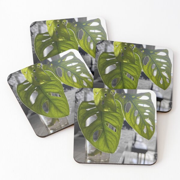 Item preview, Monstera Leaf Original designed and sold by theplantgirl116.