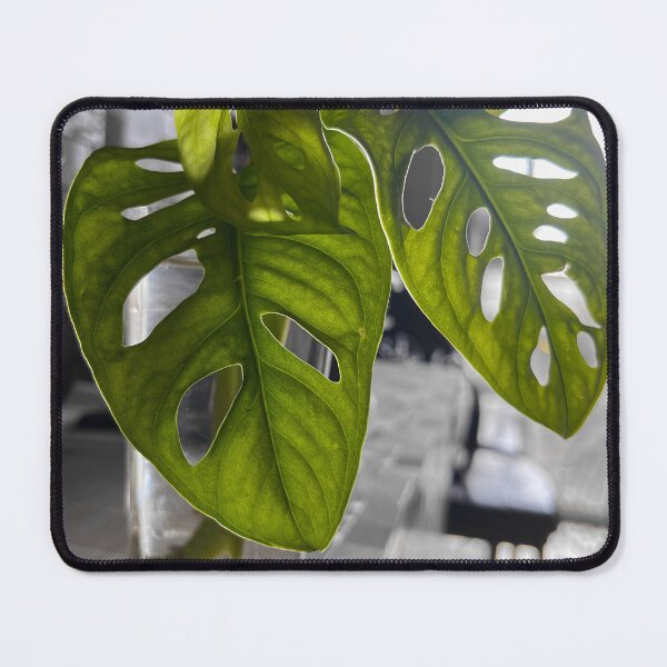 Item preview, Monstera Leaf Original designed and sold by theplantgirl116.