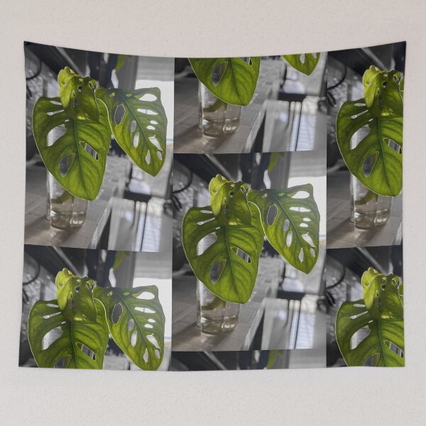Item preview, Monstera Leaf Original designed and sold by theplantgirl116.