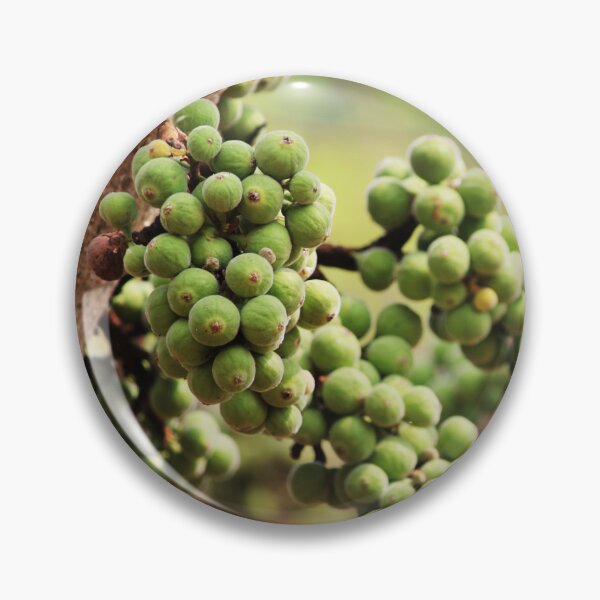 Item preview, Cluster Fig Fruits. designed and sold by VgBingi.