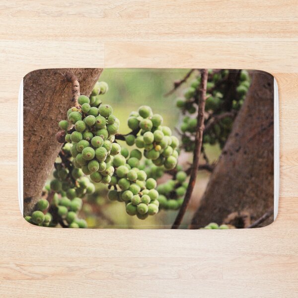 Item preview, Cluster Fig Fruits. designed and sold by VgBingi.