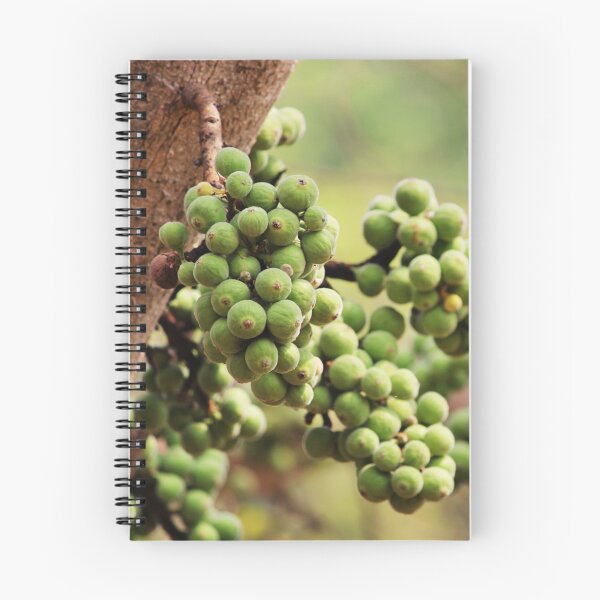 Item preview, Cluster Fig Fruits. designed and sold by VgBingi.