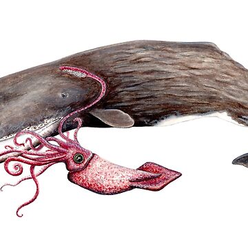 Artwork thumbnail, Sperm whale and squid battle by chloeyzoard