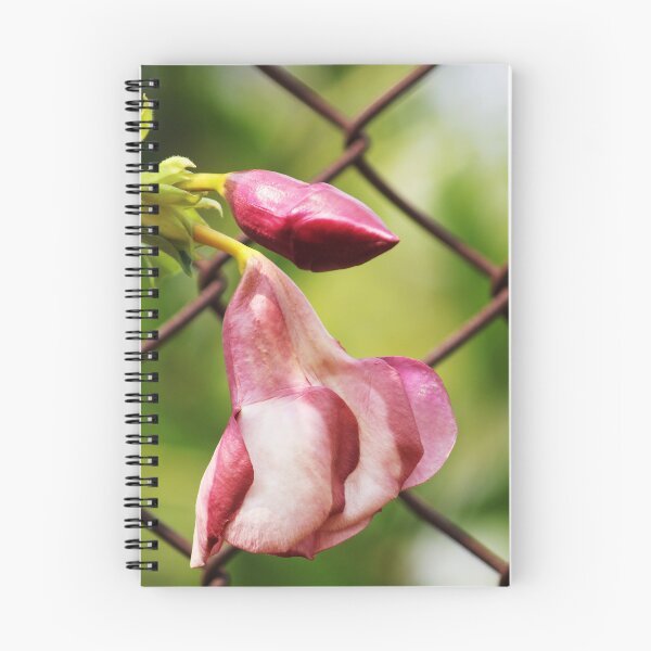 Item preview, Allamanda Blanchetii Flowers. designed and sold by VgBingi.