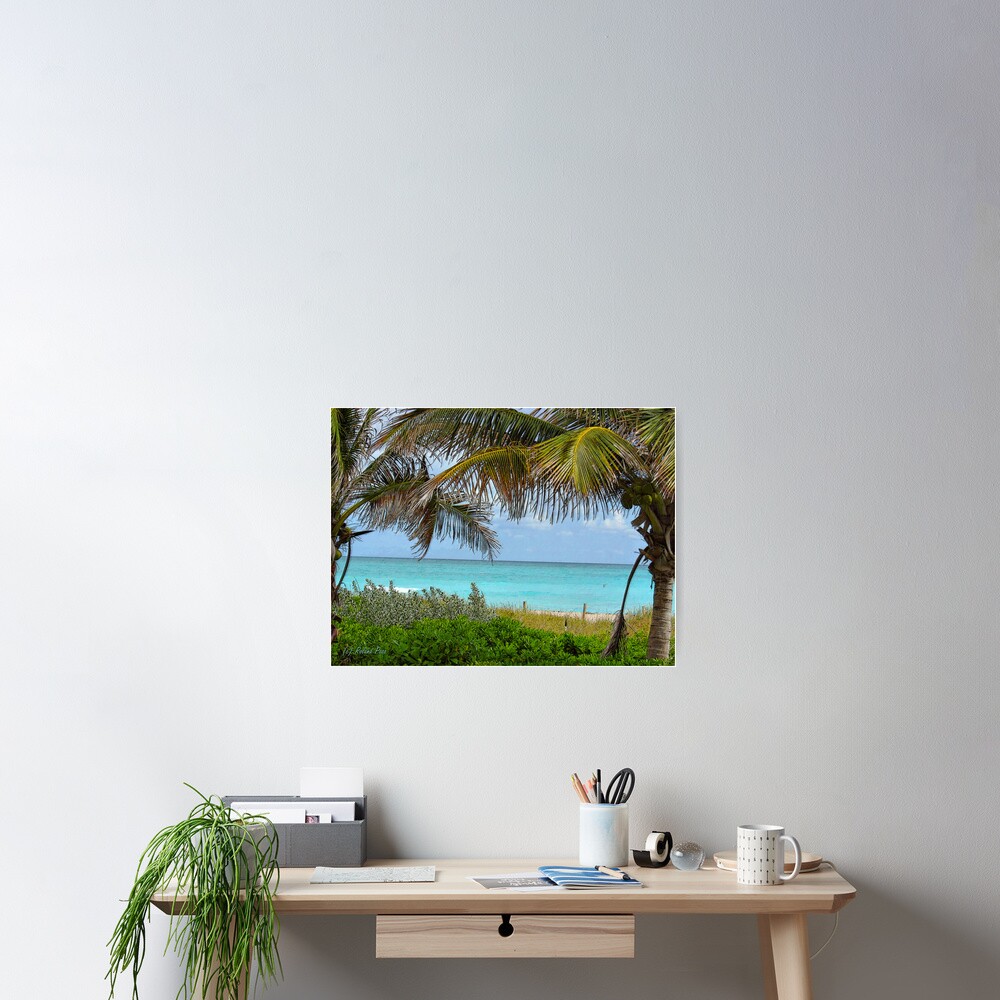 Tropical View Poster