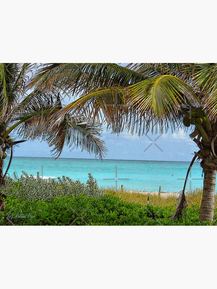 Tropical View by photorolandi