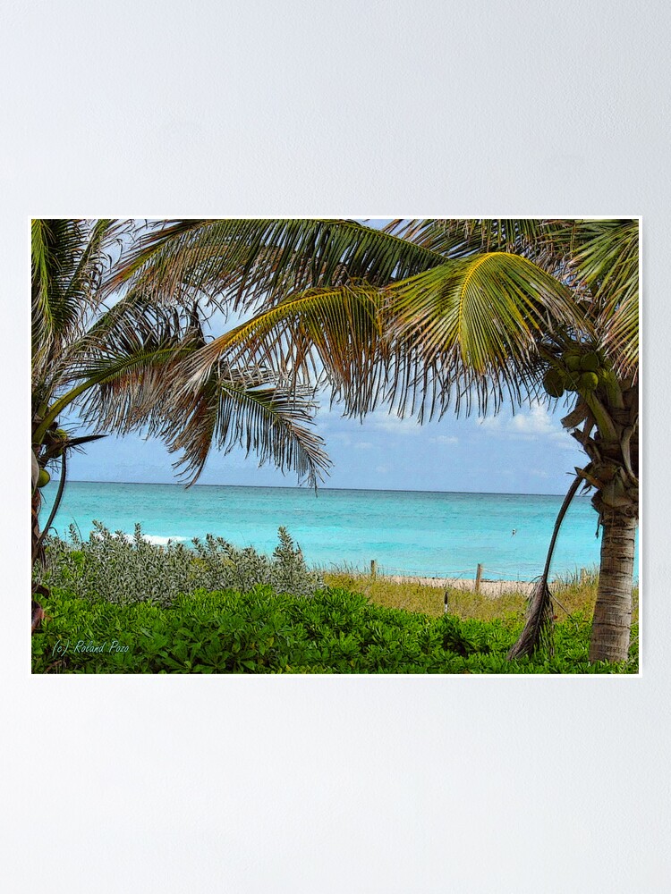 Alternate view of Tropical View Poster