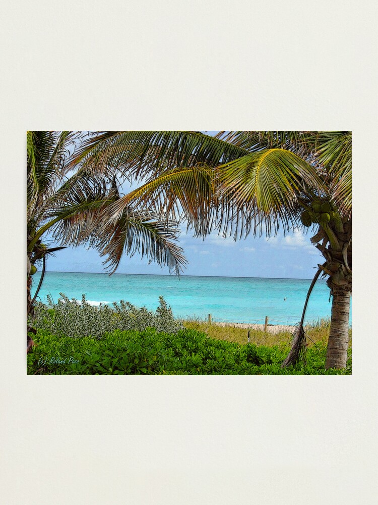 Alternate view of Tropical View Photographic Print