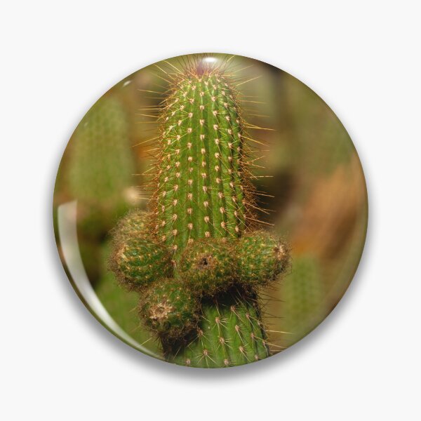 Item preview, Cactus family designed and sold by Nicomaja.