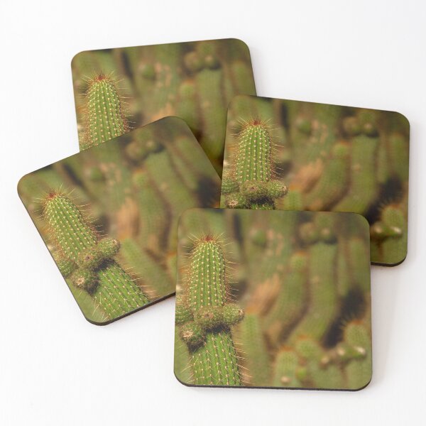 Item preview, Cactus family designed and sold by Nicomaja.