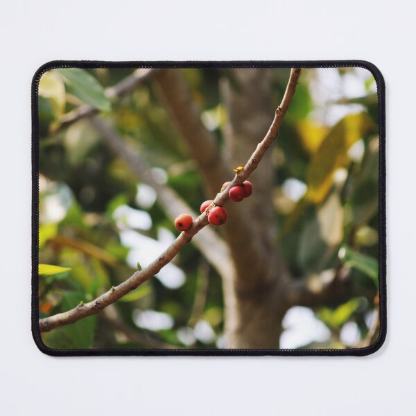 Item preview, Banyan Fruits Hanging on a Tree. designed and sold by VgBingi.