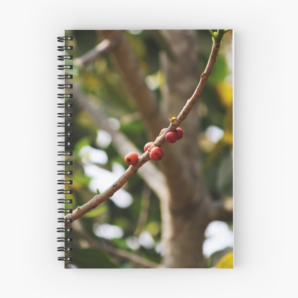 Item preview, Banyan Fruits Hanging on a Tree. designed and sold by VgBingi.