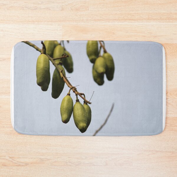 Item preview, Ceiba Pentandra Fruits. designed and sold by VgBingi.