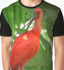 Scarlet Ibis Graphic T-Shirt