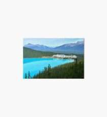 Lake Louise Perfection Art Board