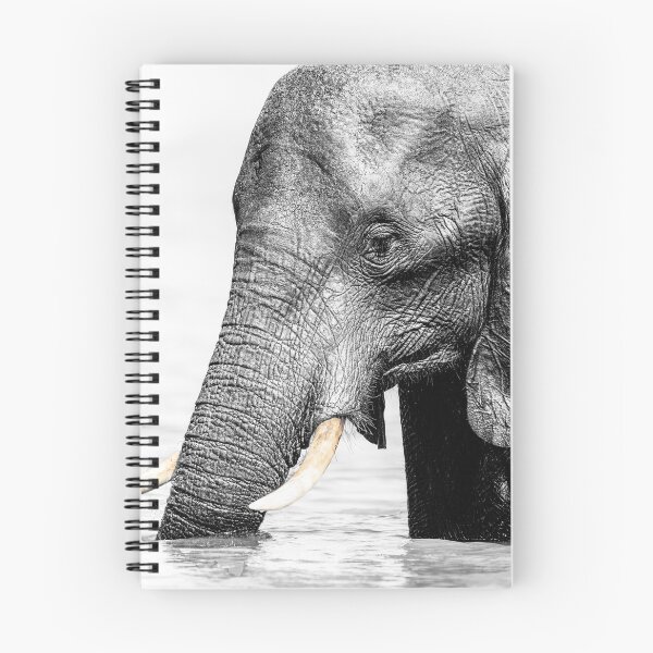 Item preview, Elephant Chobe River Botswana High Key designed and sold by PhotoArt by Joan Carroll.
