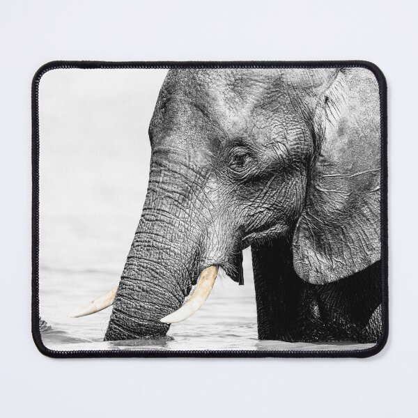 Item preview, Elephant Chobe River Botswana High Key designed and sold by PhotoArt by Joan Carroll.