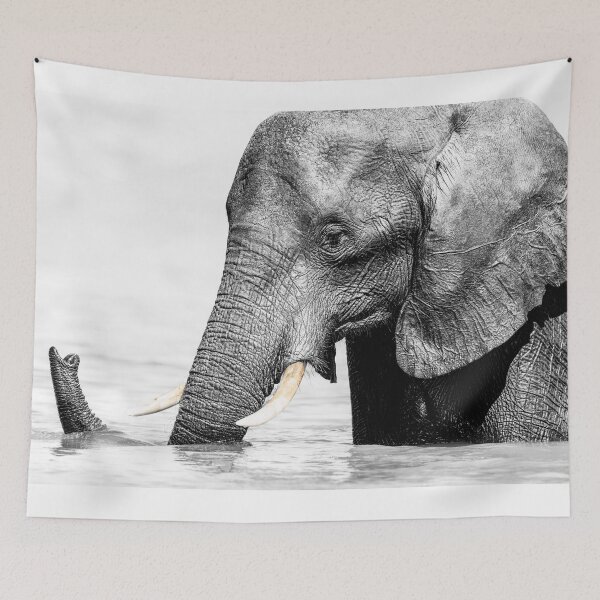 Item preview, Elephant Chobe River Botswana High Key designed and sold by PhotoArt by Joan Carroll.