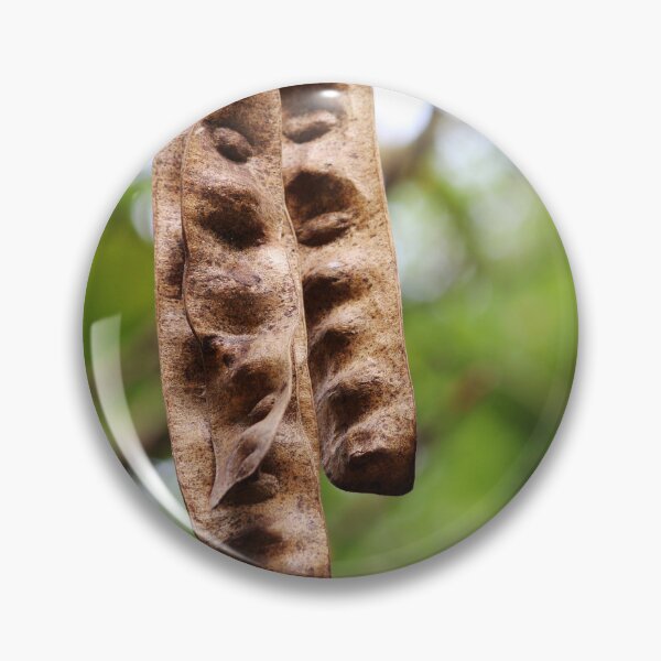 Item preview, Acacia Tree Pods. designed and sold by VgBingi.