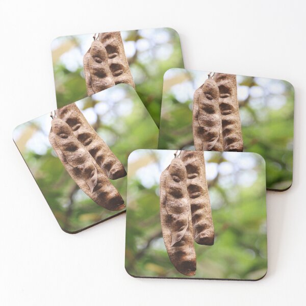 Item preview, Acacia Tree Pods. designed and sold by VgBingi.