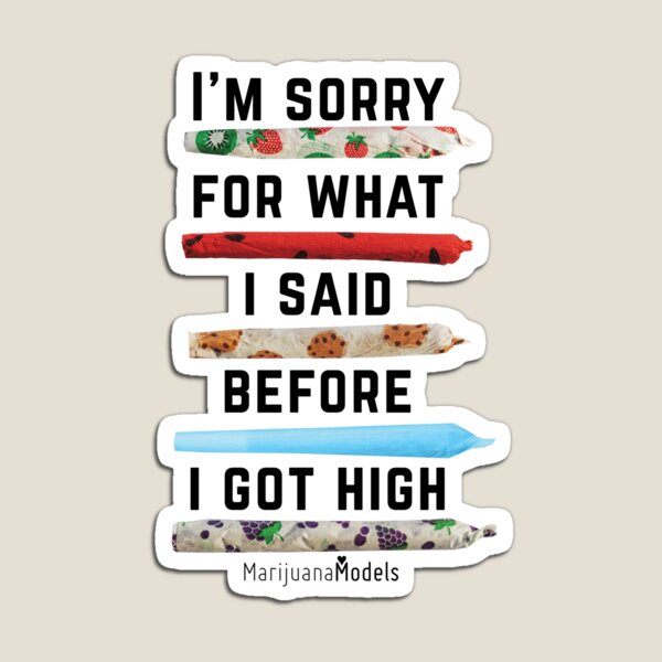 I'm Sorry For What I Said Before I Got High Magnet