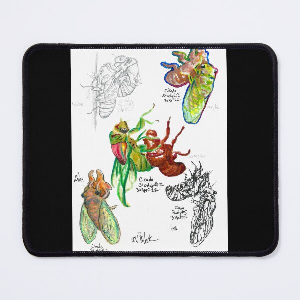 Item preview, Cicada Study designed and sold by Victoria Cook.