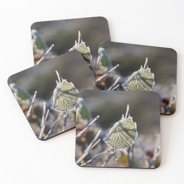 Item preview, Clinging on designed and sold by GreyFeatherPhot.