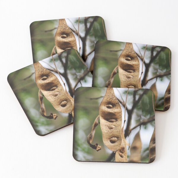 Item preview, Acacia Tree Pods. designed and sold by VgBingi.