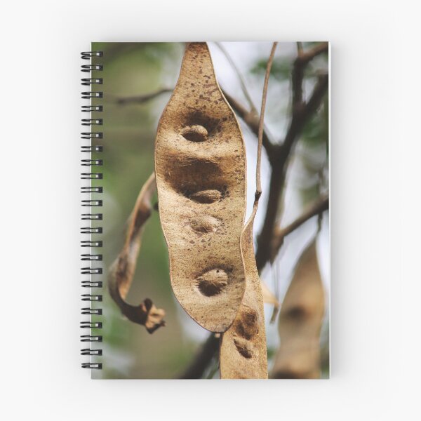 Item preview, Acacia Tree Pods. designed and sold by VgBingi.