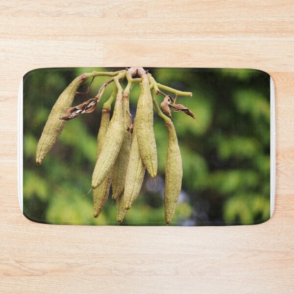 Item preview, Tabebuia Aurea Fruits. designed and sold by VgBingi.