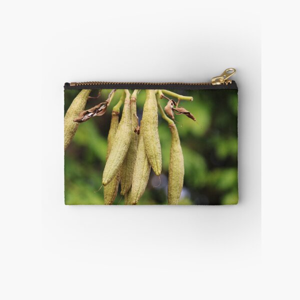 Item preview, Tabebuia Aurea Fruits. designed and sold by VgBingi.