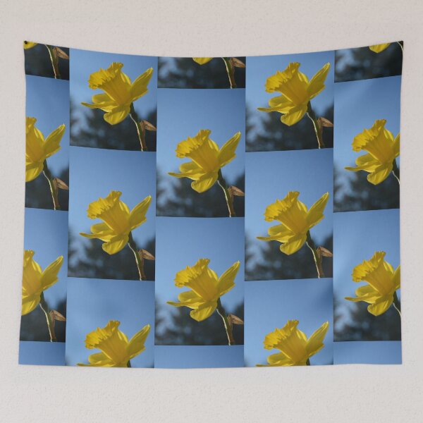 Item preview, Spring yellow daffodil flower in blue sky  designed and sold by naturematters.