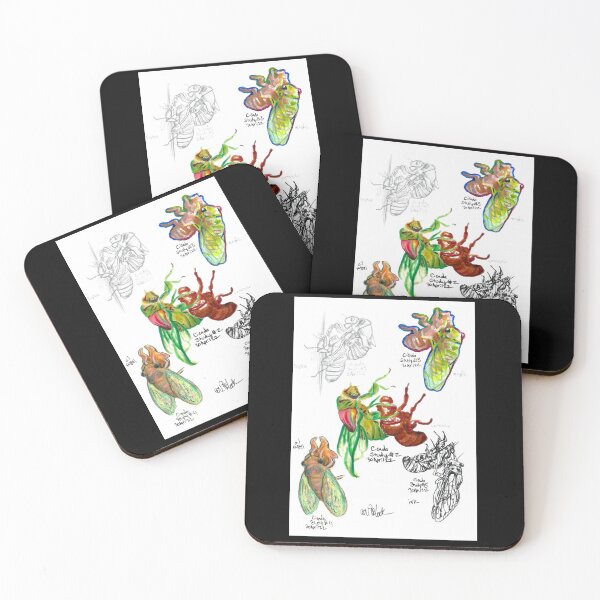 Item preview, Cicada Study designed and sold by Victoria  Cook.