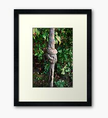 who Framed Print