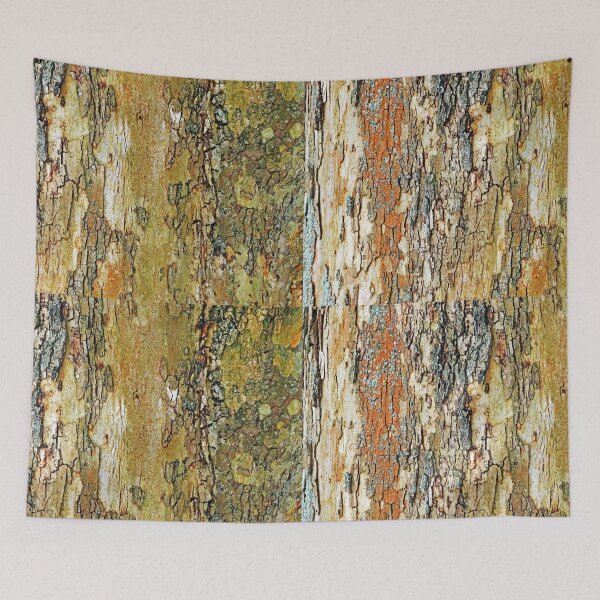 Item preview, Colors Of Eastern Sycamore III designed and sold by Deb Oppermann.