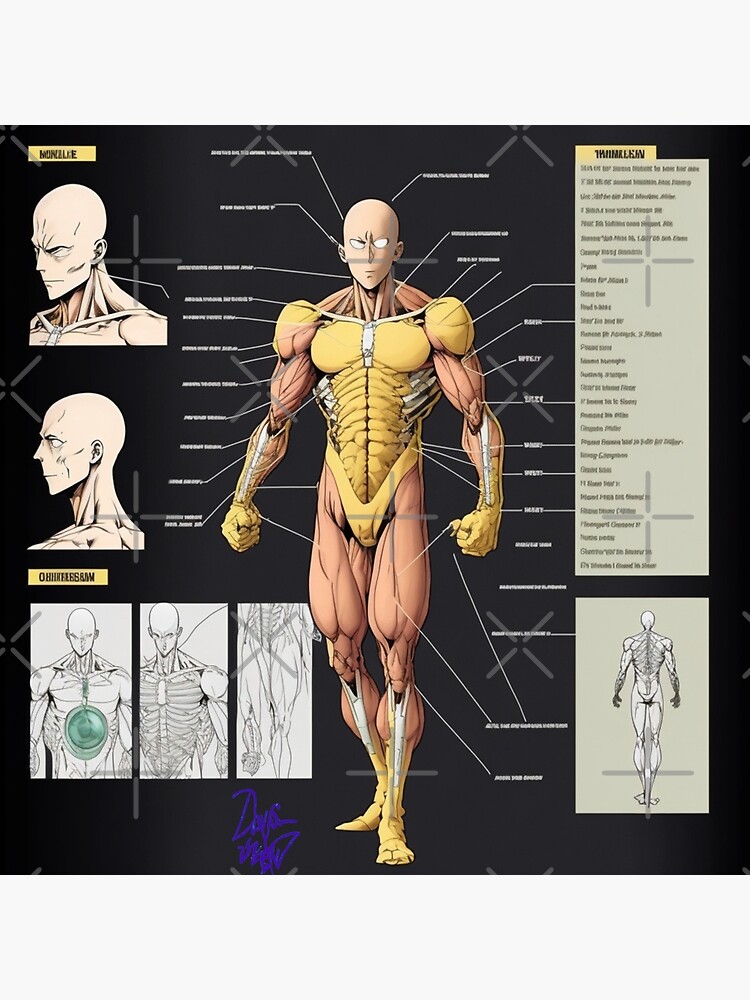 anime / manga male body | Anatomy sketches, Anime drawings tutorials,  Drawing techniques