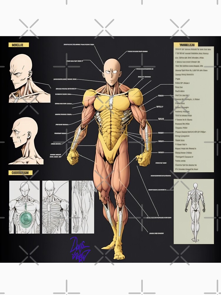 Musculature Anatomy Chart - Anime Gym Motivational